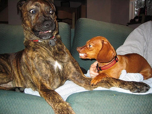 http://www.gnutellaforums.com/attachments/funny-images/4572d1232964608-sometimes-you-just-have-right-place-right-time-right-camera-image0055.jpg