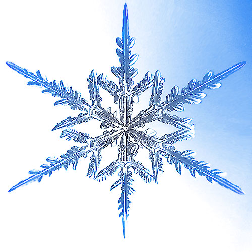 Click image for larger version

Name:	frostwire.jpg
Views:	1551
Size:	93.2 KB
ID:	2222