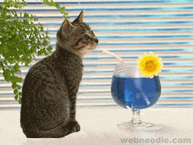 Click image for larger version

Name:	att000323.gif
Views:	178
Size:	57.2 KB
ID:	2273