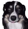 Name:  sleep_puffs5.gif
Views: 228
Size:  38.5 KB