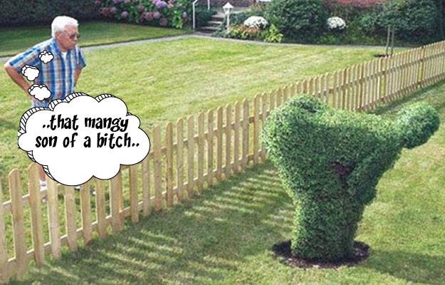 Click image for larger version

Name:	neighbor.jpg
Views:	906
Size:	58.1 KB
ID:	4768
