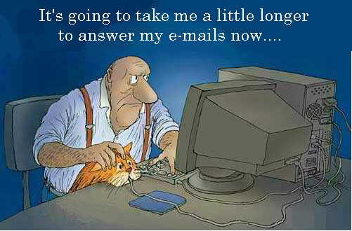 Click image for larger version

Name:	internet 12.jpeg
Views:	363
Size:	67.7 KB
ID:	5349