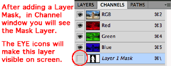 Click image for larger version

Name:	Photoshop-Layer-Masks-5B2-larger.gif
Views:	1620
Size:	37.3 KB
ID:	5725