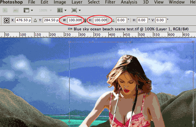 Click image for larger version

Name:	Transform-Scale-2.gif
Views:	2594
Size:	57.5 KB
ID:	5731