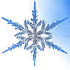 New Logo-frostwire.jpg