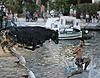 Click image for larger version

Name:	zohcrapc.jpg
Views:	193
Size:	26.2 KB
ID:	3909