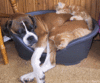 Click image for larger version

Name:	cute-1.gif
Views:	51
Size:	95.5 KB
ID:	2327
